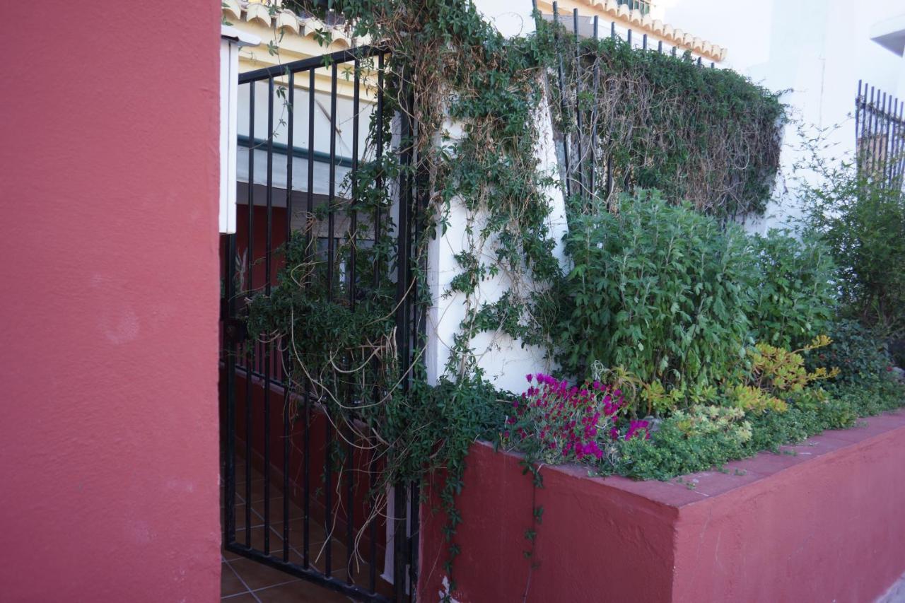 Cute And Relaxing Bed And Breakfast En Albayzin Granada Exteriér fotografie